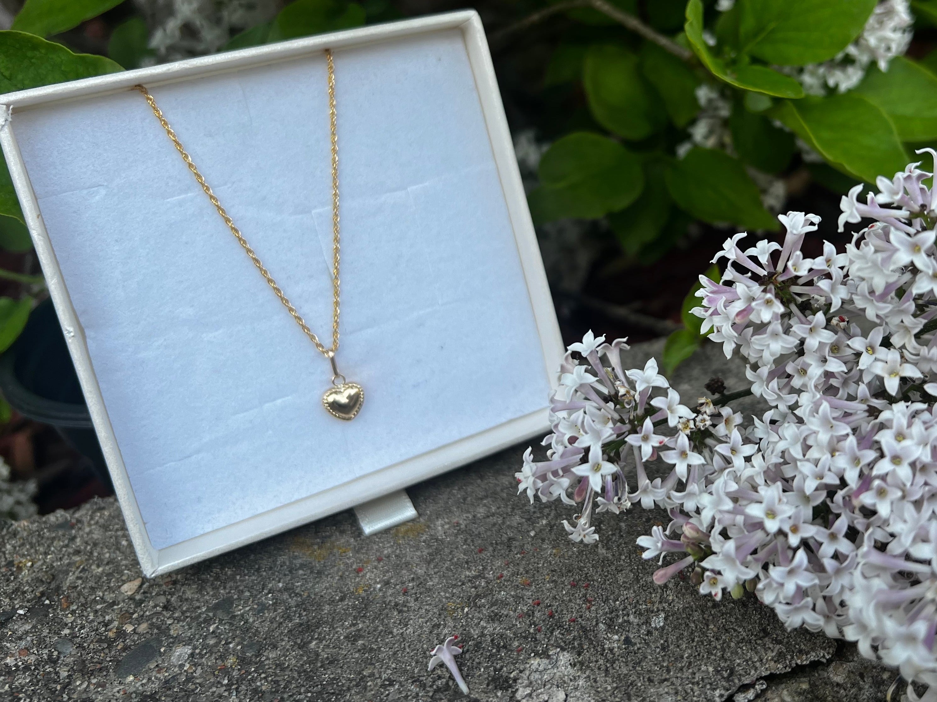 18K Gold Mini Heart Necklace (750)