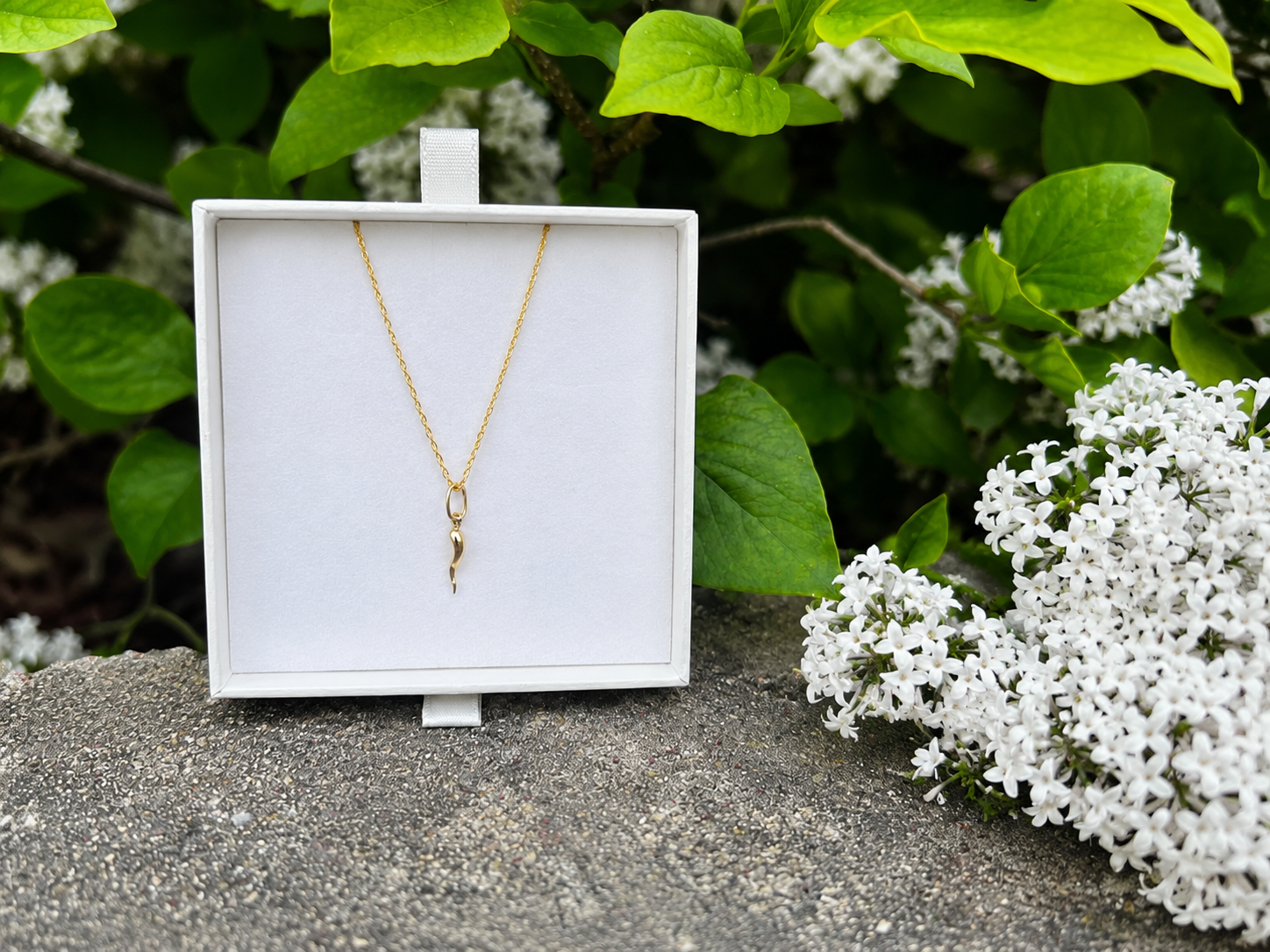 18K Gold Lucky Horn Necklace (750)